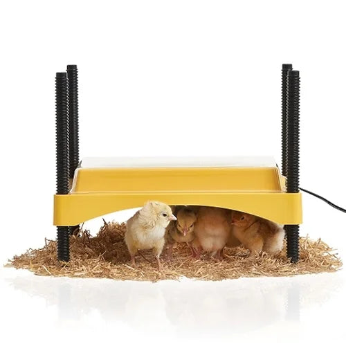 Brinsea EcoGlow 600 Safety Heat Plate - Brooder